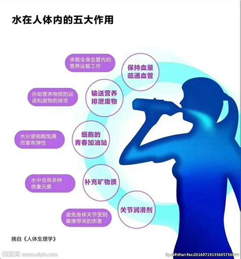 水的功用|水对人体的主要生理功能有哪些？